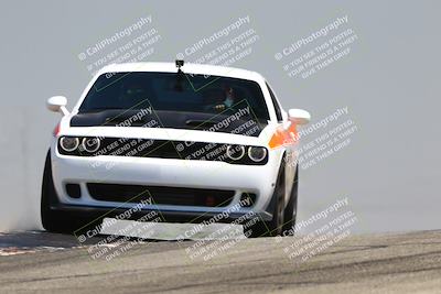 media/Jul-26-2025-Speed Ventures (Sat) [[fe569e6cf0]]/Yellow Group/Grapevine/